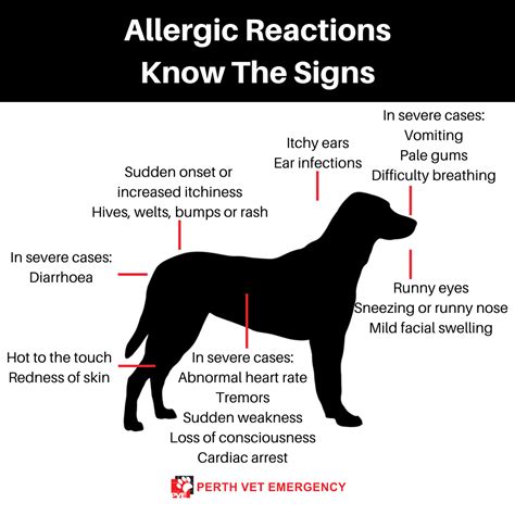 allergy trigger figgerits|Allergies to animals .